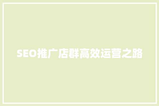 SEO推广店群高效运营之路