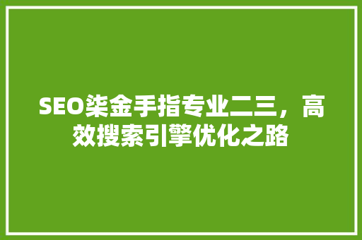 SEO柒金手指专业二三，高效搜索引擎优化之路