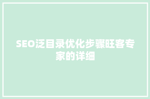 SEO泛目录优化步骤旺客专家的详细