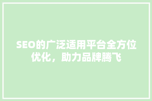 SEO的广泛适用平台全方位优化，助力品牌腾飞