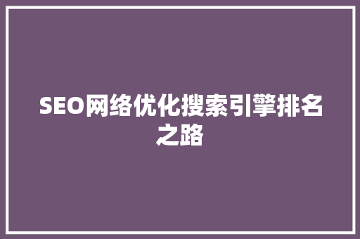 SEO网络优化搜索引擎排名之路