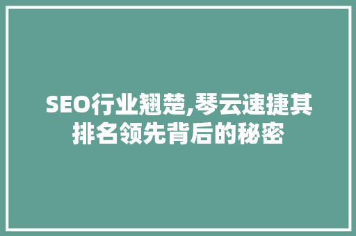 SEO行业翘楚,琴云速捷其排名领先背后的秘密