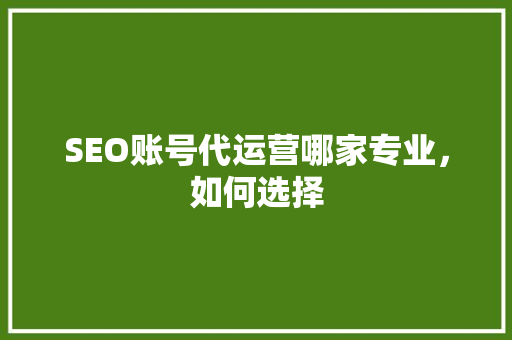 SEO账号代运营哪家专业，如何选择  第1张