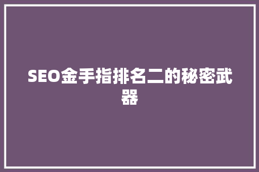 SEO金手指排名二的秘密武器
