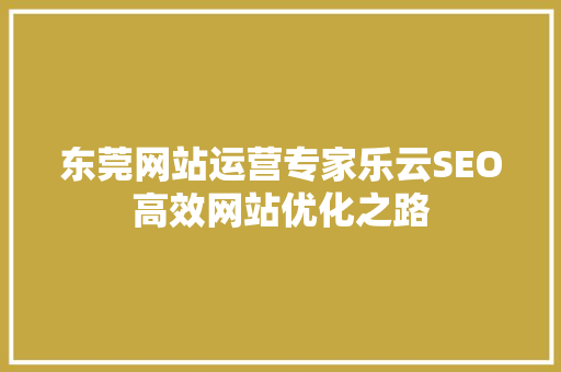 东莞网站运营专家乐云SEO高效网站优化之路