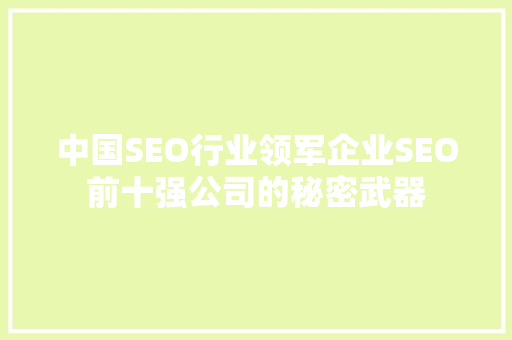 中国SEO行业领军企业SEO前十强公司的秘密武器