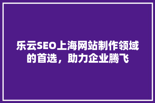乐云SEO上海网站制作领域的首选，助力企业腾飞