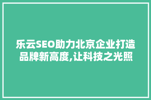 乐云SEO助力北京企业打造品牌新高度,让科技之光照亮推广之路  第1张