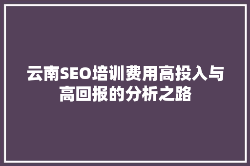 云南SEO培训费用高投入与高回报的分析之路