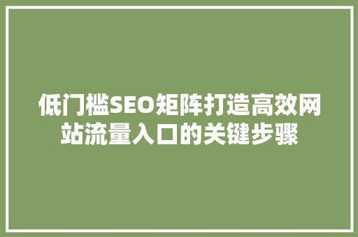低门槛SEO矩阵打造高效网站流量入口的关键步骤