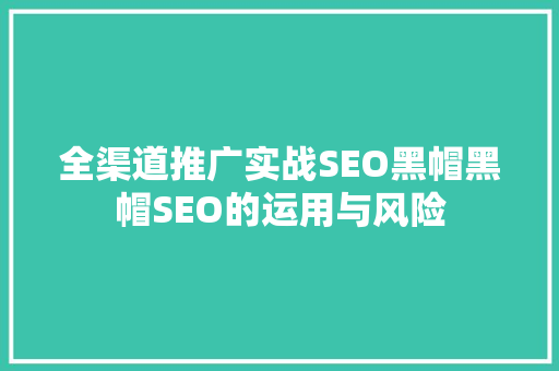 全渠道推广实战SEO黑帽黑帽SEO的运用与风险