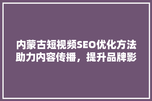 内蒙古短视频SEO优化方法助力内容传播，提升品牌影响力