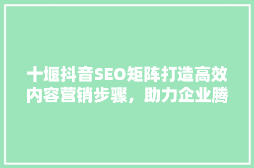 十堰抖音SEO矩阵打造高效内容营销步骤，助力企业腾飞