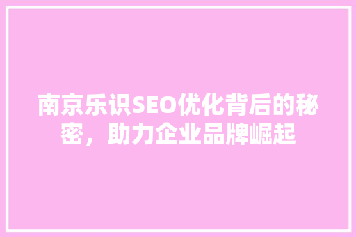 南京乐识SEO优化背后的秘密，助力企业品牌崛起
