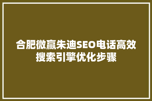 合肥微赢朱迪SEO电话高效搜索引擎优化步骤  第1张