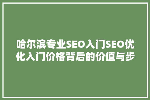 哈尔滨专业SEO入门SEO优化入门价格背后的价值与步骤