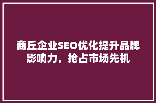 商丘企业SEO优化提升品牌影响力，抢占市场先机
