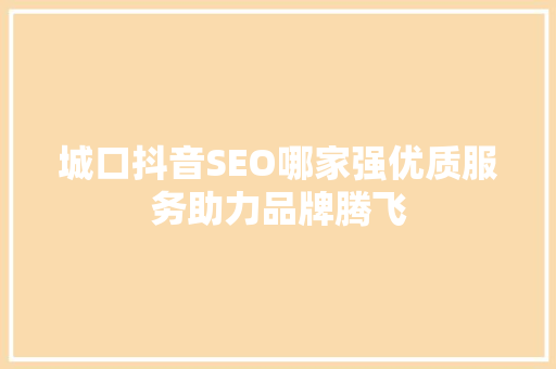 城口抖音SEO哪家强优质服务助力品牌腾飞