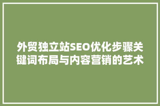 外贸独立站SEO优化步骤关键词布局与内容营销的艺术
