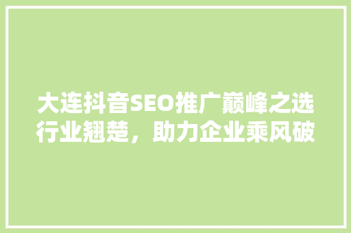 大连抖音SEO推广巅峰之选行业翘楚，助力企业乘风破浪