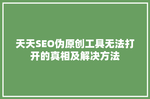天天SEO伪原创工具无法打开的真相及解决方法