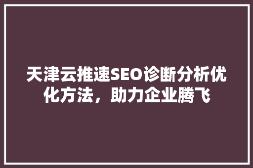 天津云推速SEO诊断分析优化方法，助力企业腾飞