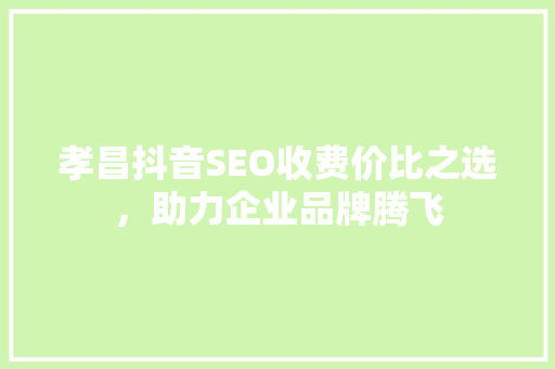 孝昌抖音SEO收费价比之选，助力企业品牌腾飞