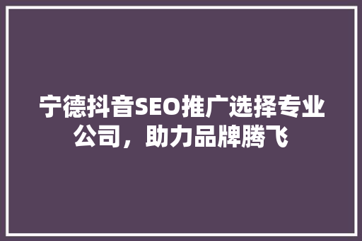 宁德抖音SEO推广选择专业公司，助力品牌腾飞