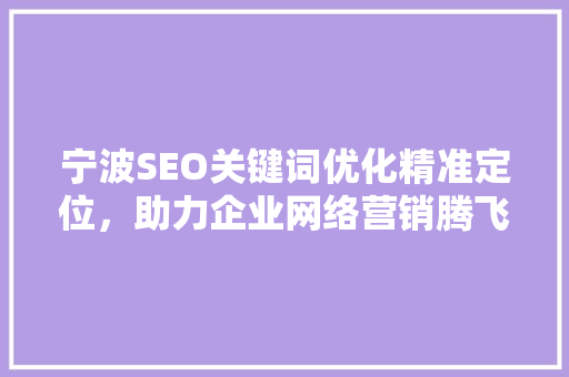 宁波SEO关键词优化精准定位，助力企业网络营销腾飞