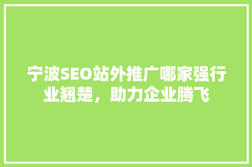 宁波SEO站外推广哪家强行业翘楚，助力企业腾飞