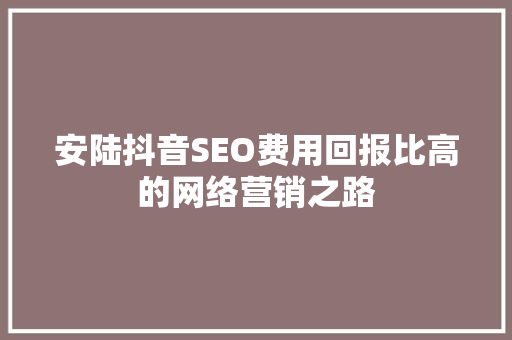 安陆抖音SEO费用回报比高的网络营销之路