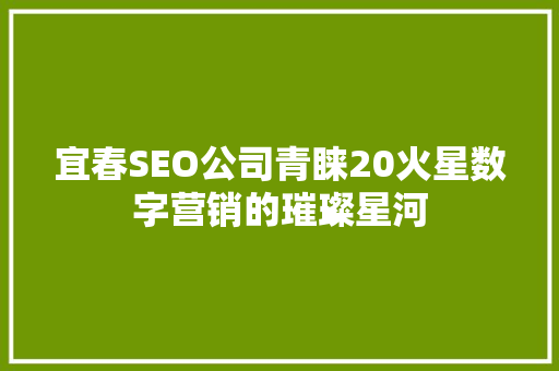 宜春SEO公司青睐20火星数字营销的璀璨星河