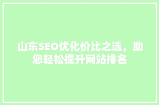山东SEO优化价比之选，助您轻松提升网站排名