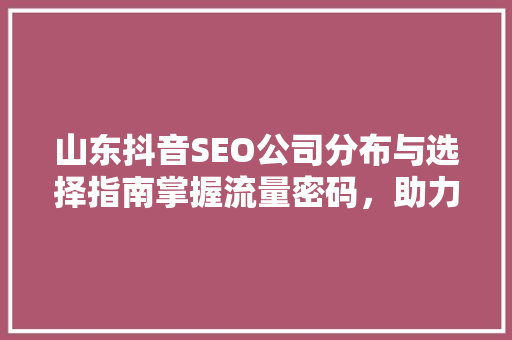 山东抖音SEO公司分布与选择指南掌握流量密码，助力品牌腾飞  第1张