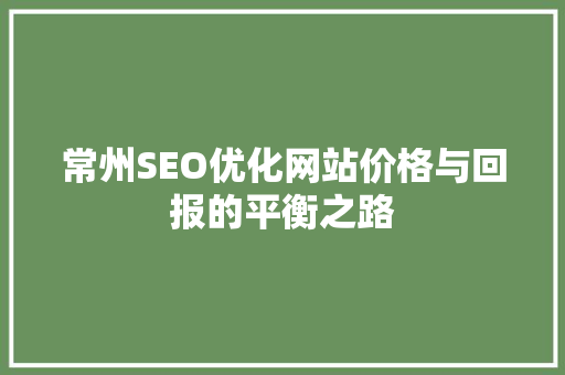 常州SEO优化网站价格与回报的平衡之路
