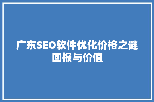 广东SEO软件优化价格之谜回报与价值