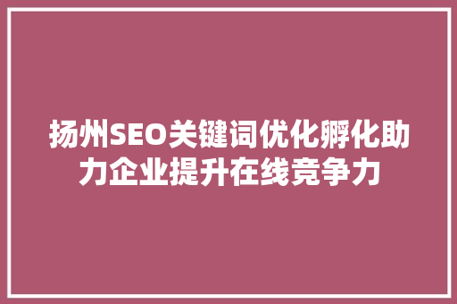 扬州SEO关键词优化孵化助力企业提升在线竞争力