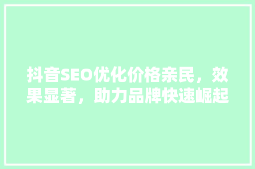 抖音SEO优化价格亲民，效果显著，助力品牌快速崛起  第1张