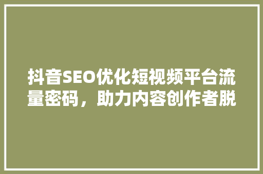 抖音SEO优化短视频平台流量密码，助力内容创作者脱颖而出