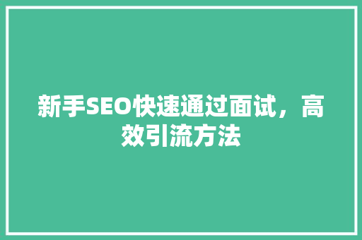 新手SEO快速通过面试，高效引流方法