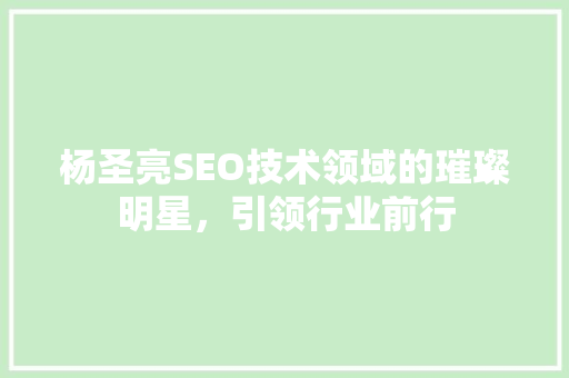 杨圣亮SEO技术领域的璀璨明星，引领行业前行