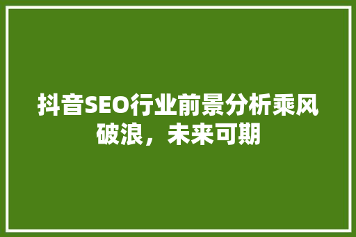 抖音SEO行业前景分析乘风破浪，未来可期