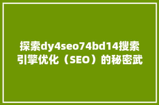 探索dy4seo74bd14搜索引擎优化（SEO）的秘密武器
