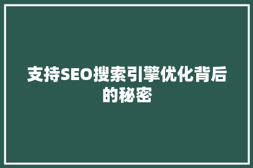 支持SEO搜索引擎优化背后的秘密