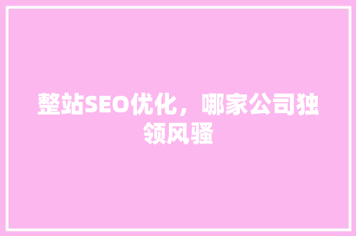 整站SEO优化，哪家公司独领风骚