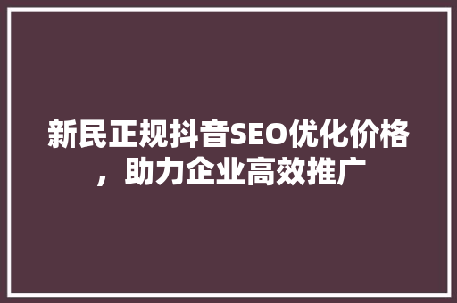 新民正规抖音SEO优化价格，助力企业高效推广
