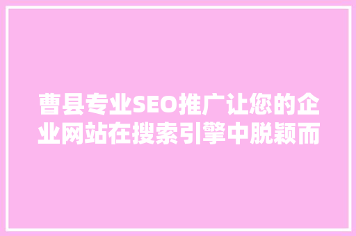 曹县专业SEO推广让您的企业网站在搜索引擎中脱颖而出  第1张
