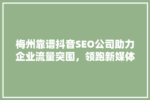 梅州靠谱抖音SEO公司助力企业流量突围，领跑新媒体营销新潮流