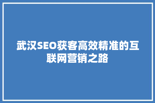 武汉SEO获客高效精准的互联网营销之路