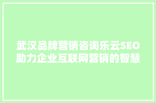 武汉品牌营销咨询乐云SEO助力企业互联网营销的智慧之选